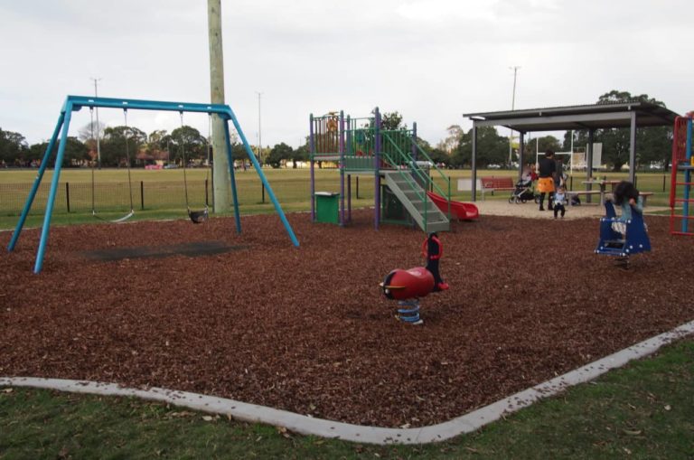 Take Toddlers to Learmonth Park Playground Newy with Kids