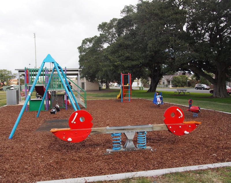 Take Toddlers to Learmonth Park Playground Newy with Kids