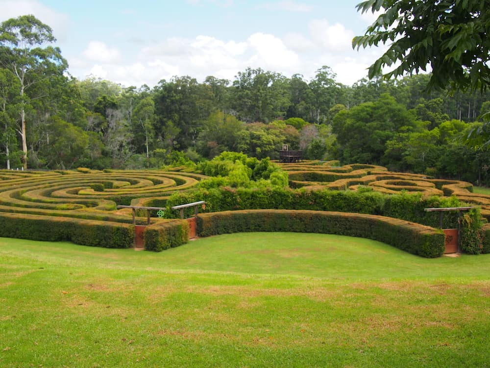 things to do in port macquarie for families