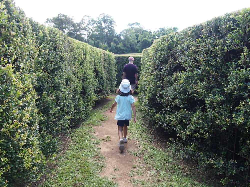 Port Macquarie kids family