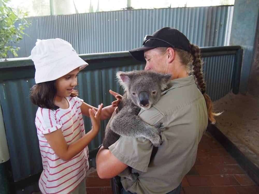 things to do in Port Macquarie