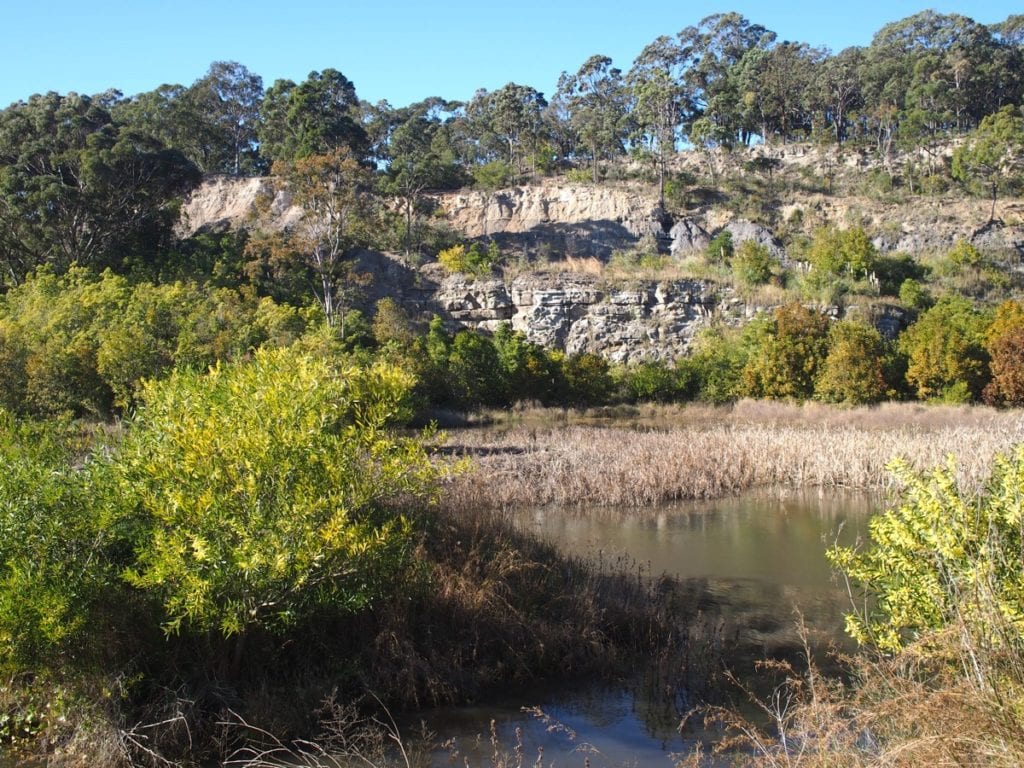 Brickworks Park Wallsend