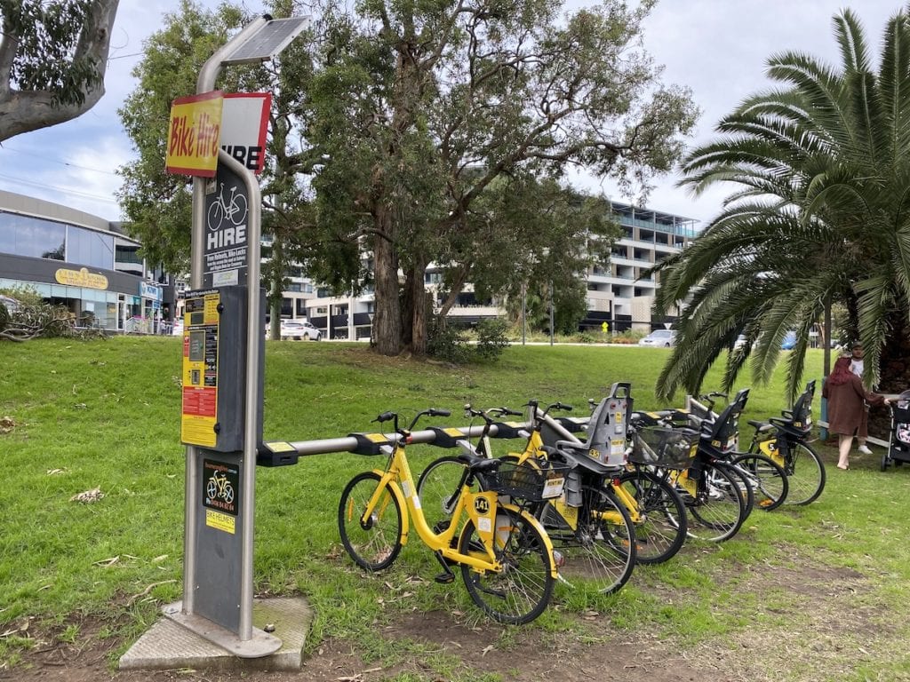 warners bay lake walk