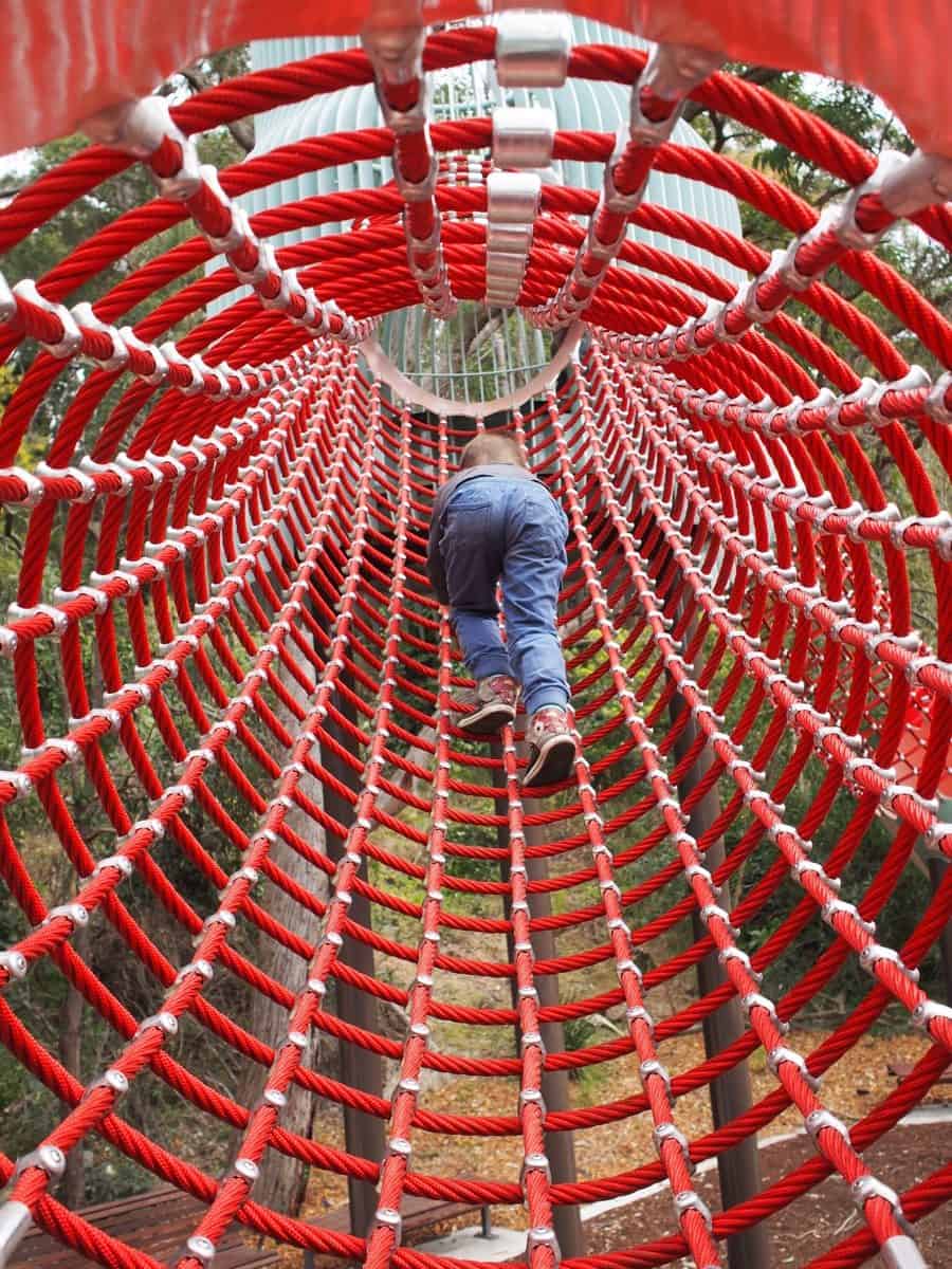 Richley Reserve Blackbutt