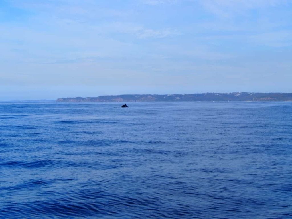 CoastXP