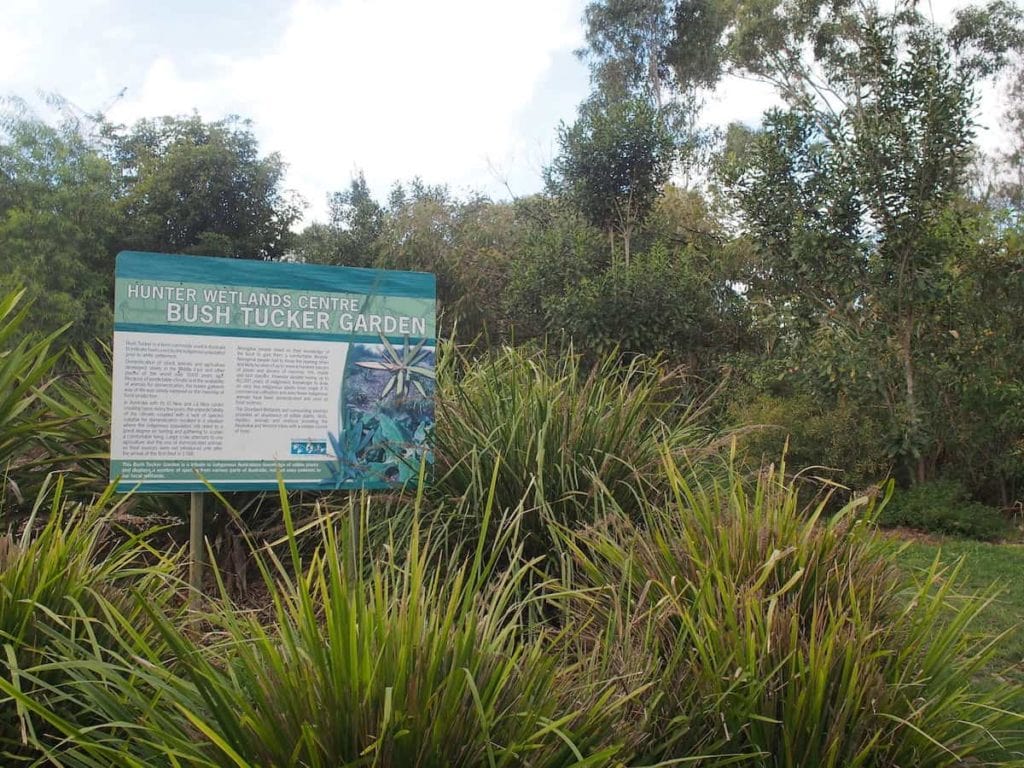 Hunter Wetlands Centre Shortland