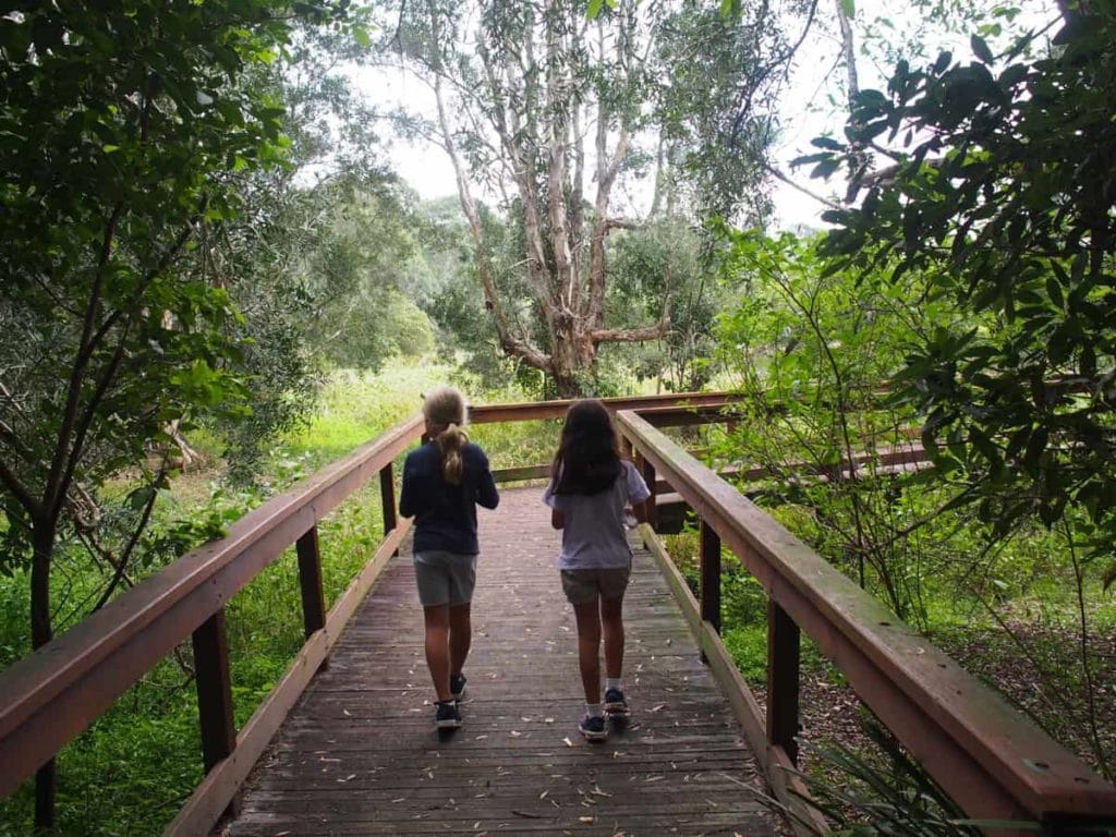 Hunter Wetlands Centre