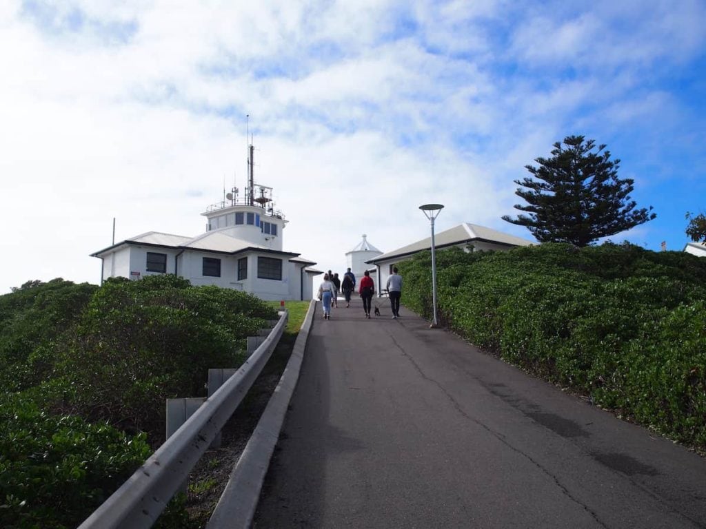 newcastle nobbys headland walk