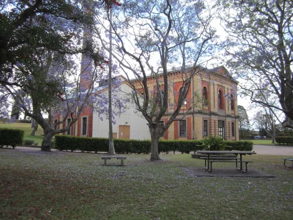 bush walk maitland