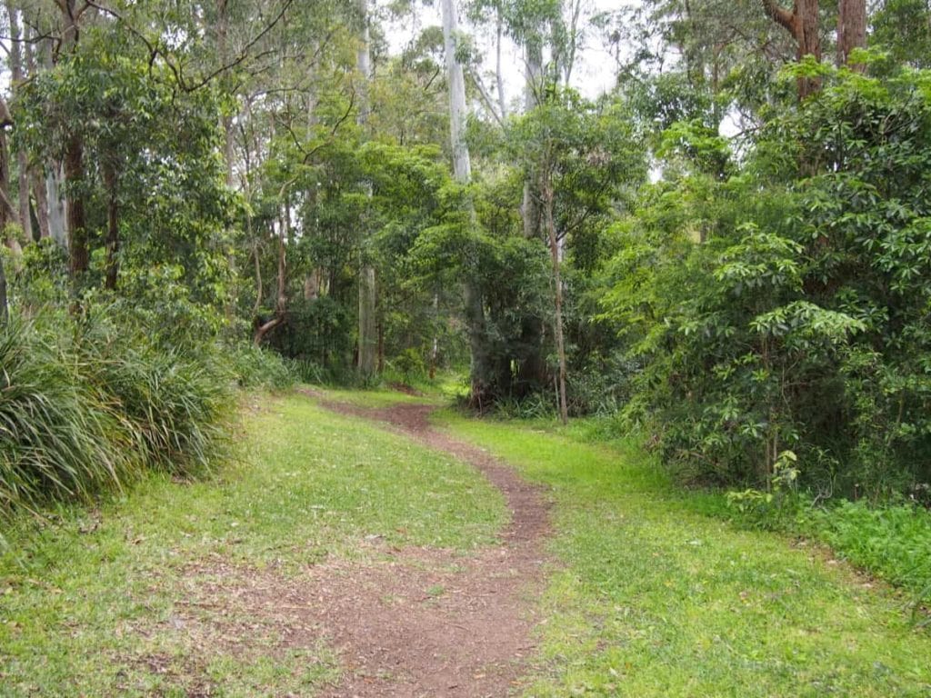 Elbrook Drive Reserve