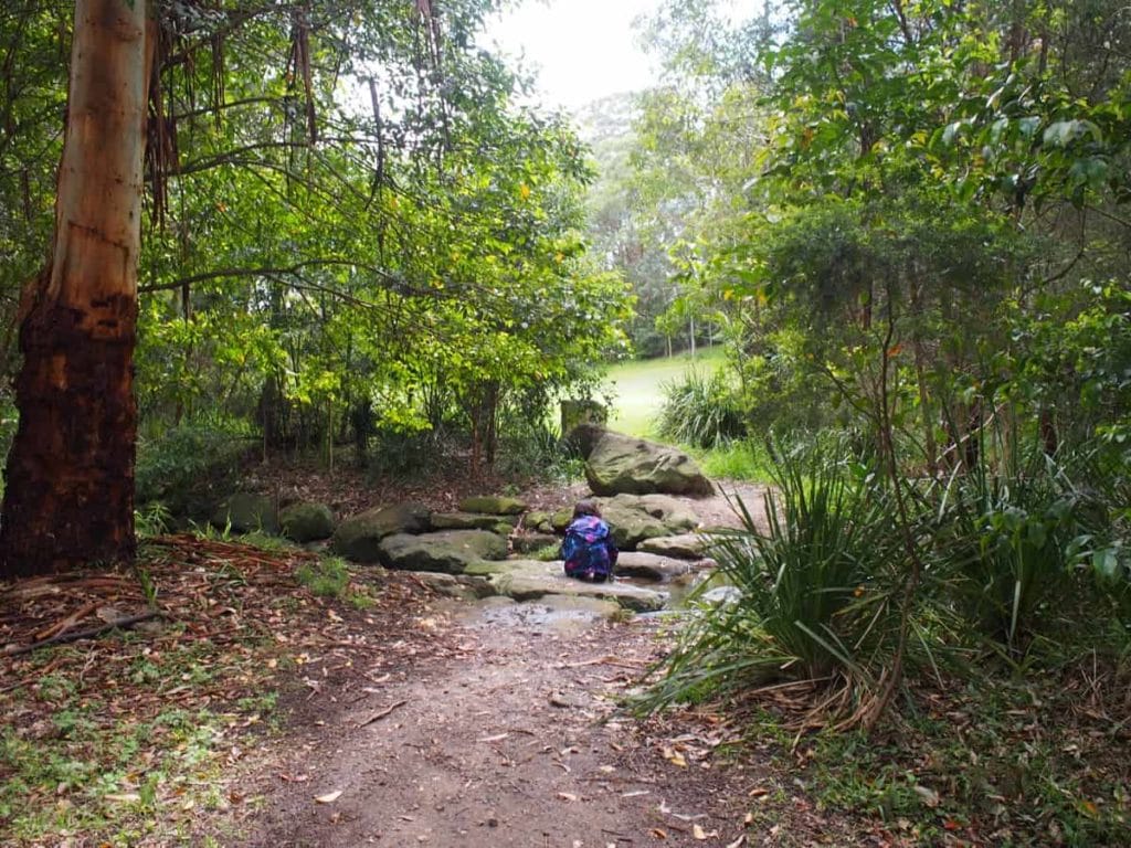 Elbrook Reserve Playground