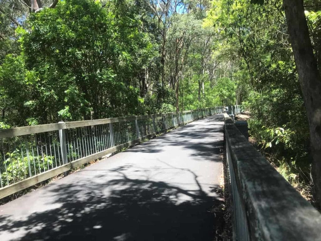 Fernleigh Track