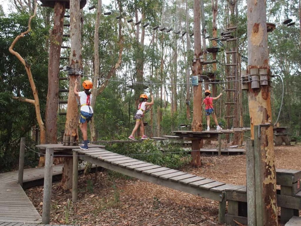 TreeTops Newcastle Adventure Park Kids