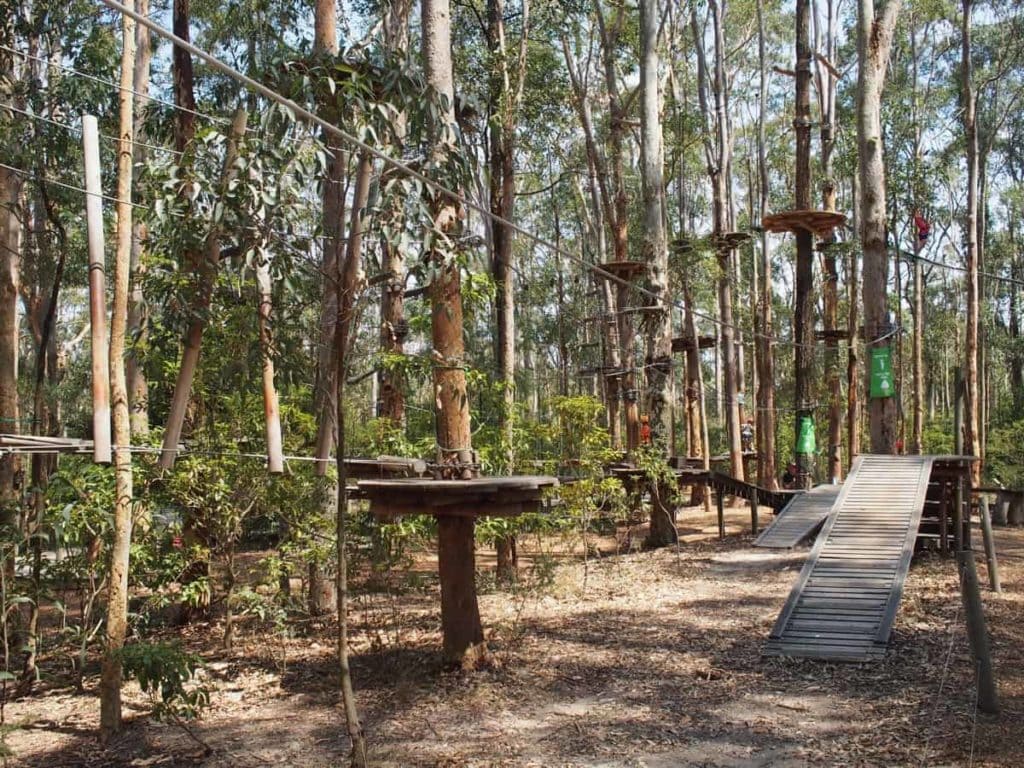 TreeTops Adventure Park Kids