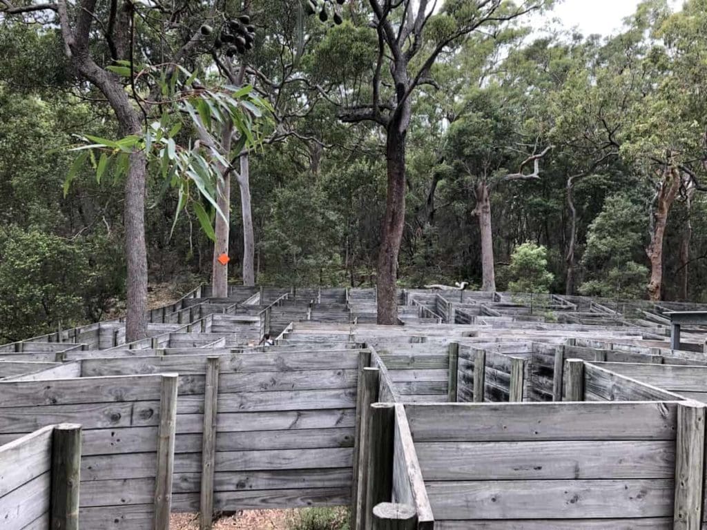 Toboggan Hill Park Giant Maze