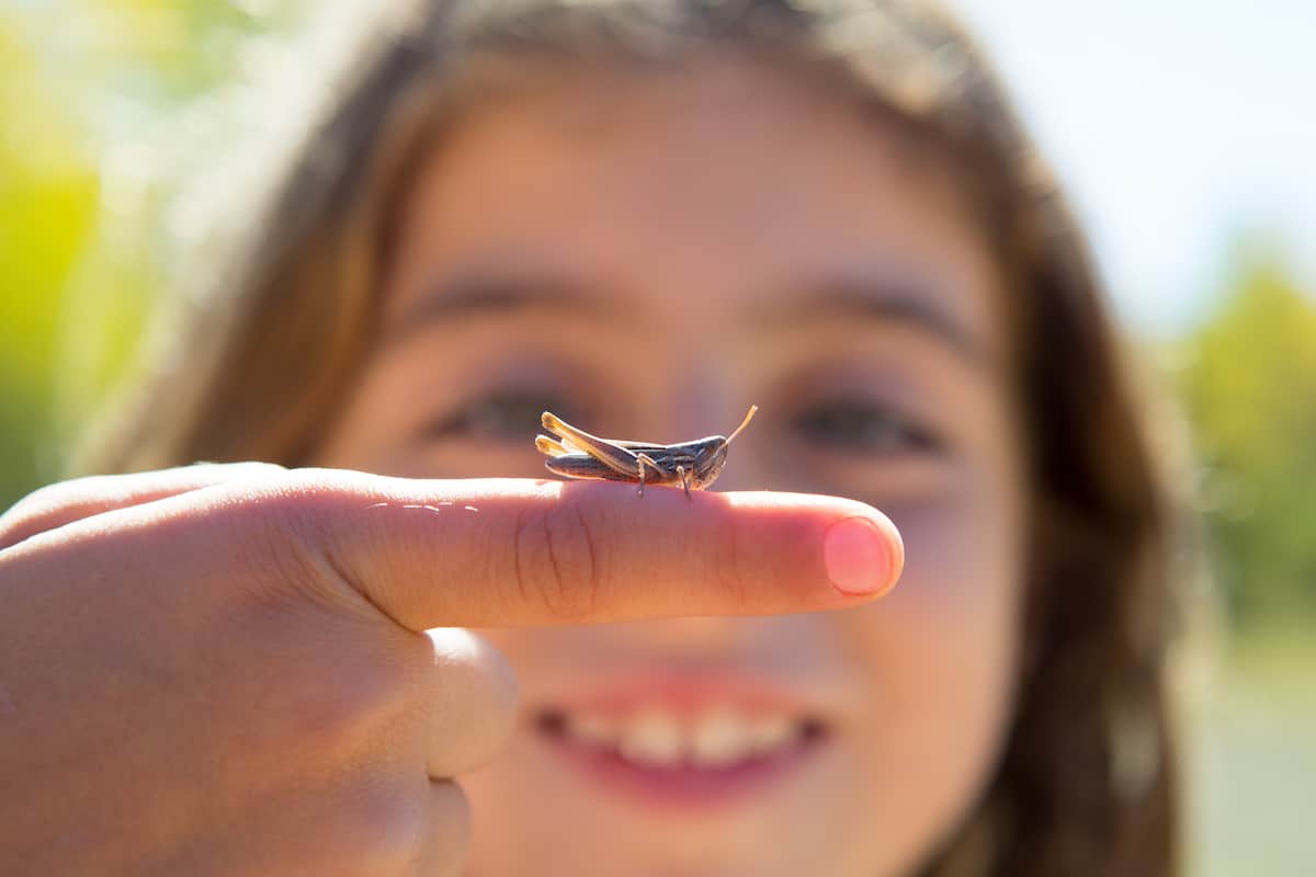 backyard scavenger hunt
