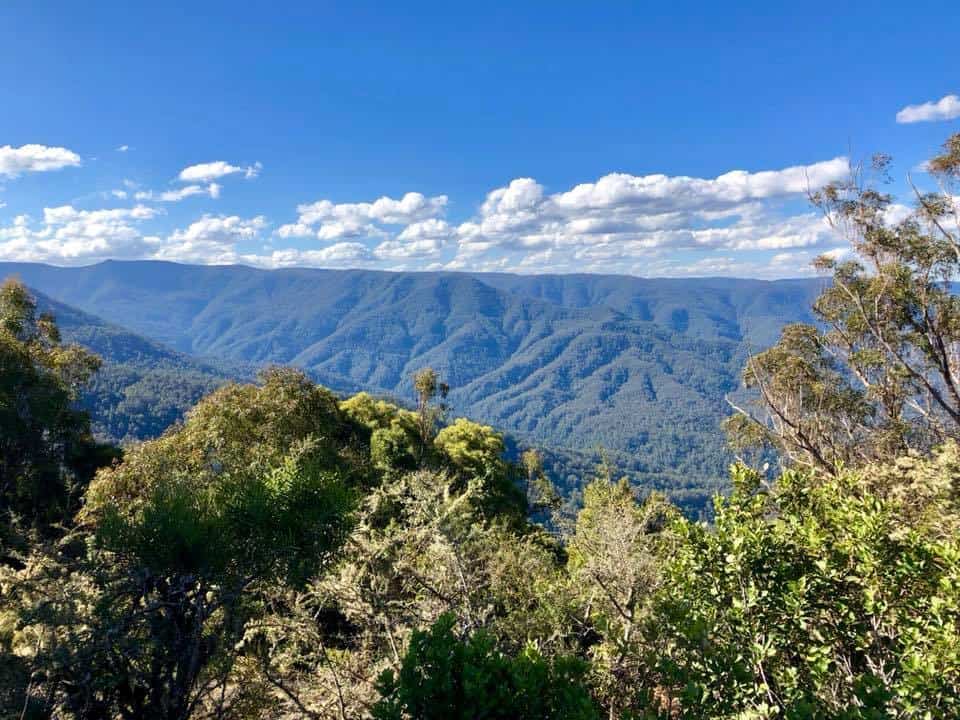 Barrington Tops Day Trip