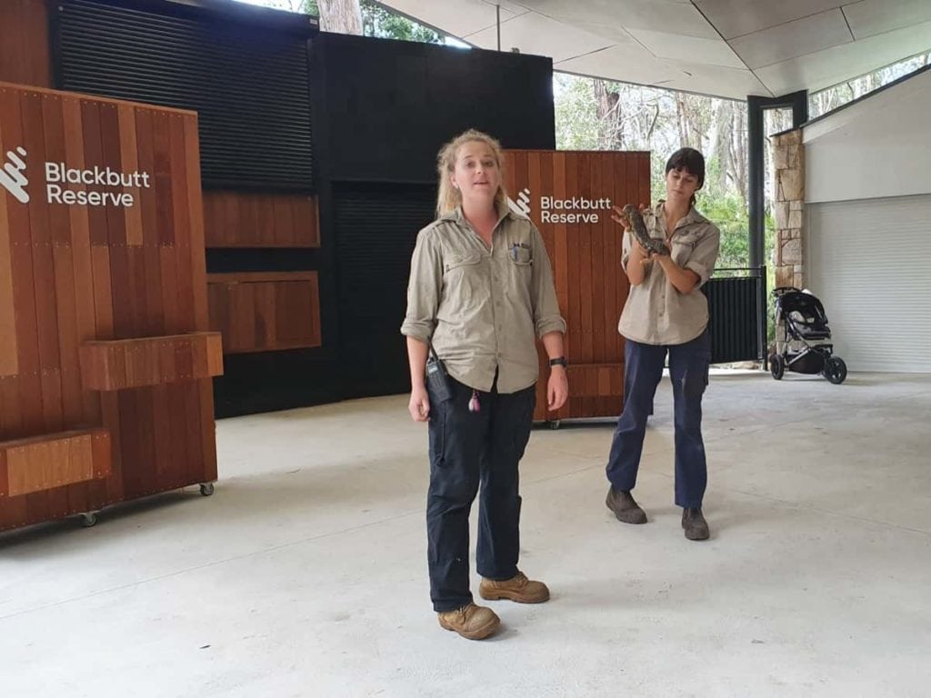 Blackbutt Reserve Reptile Show