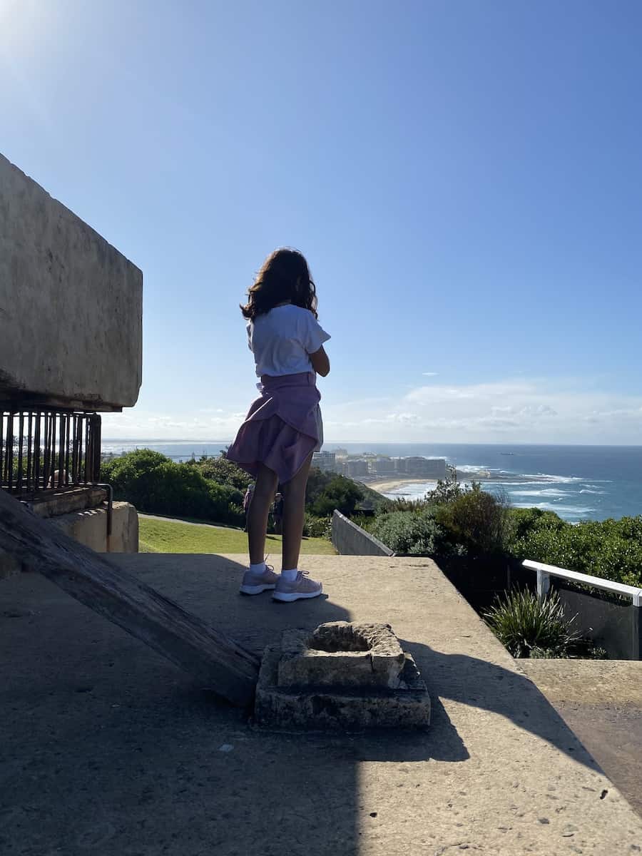 Shepherds Hill Newcastle whale watching