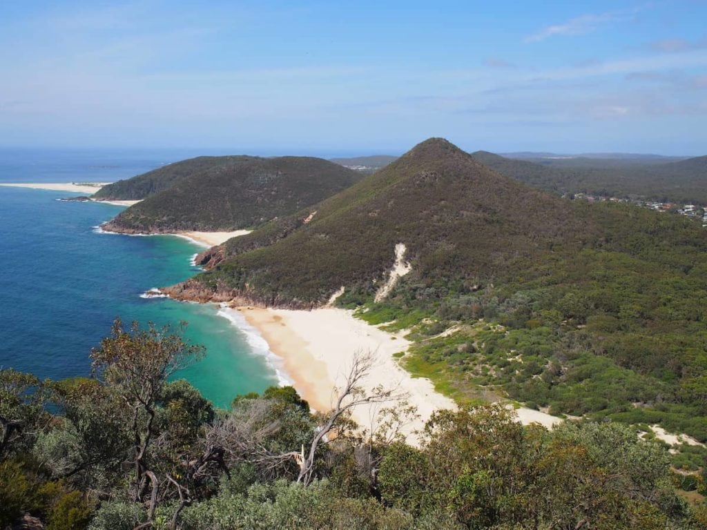 whale watching port stephens