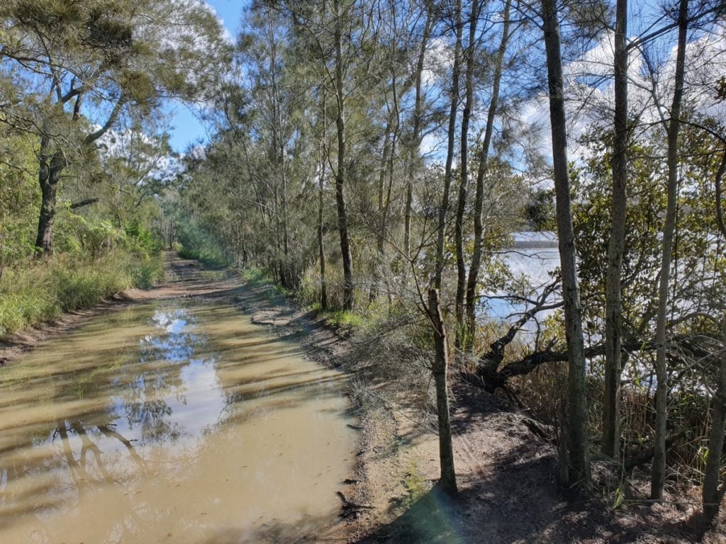 Belmont Lagoon Walk