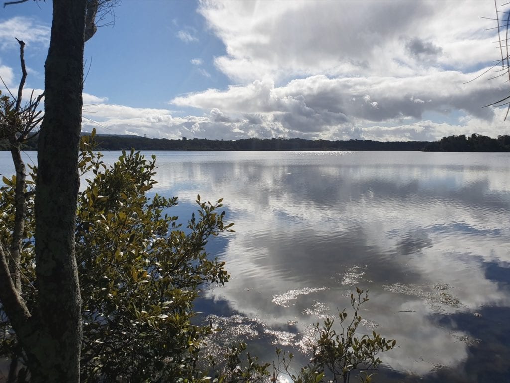 Belmont Lagoon Walk View