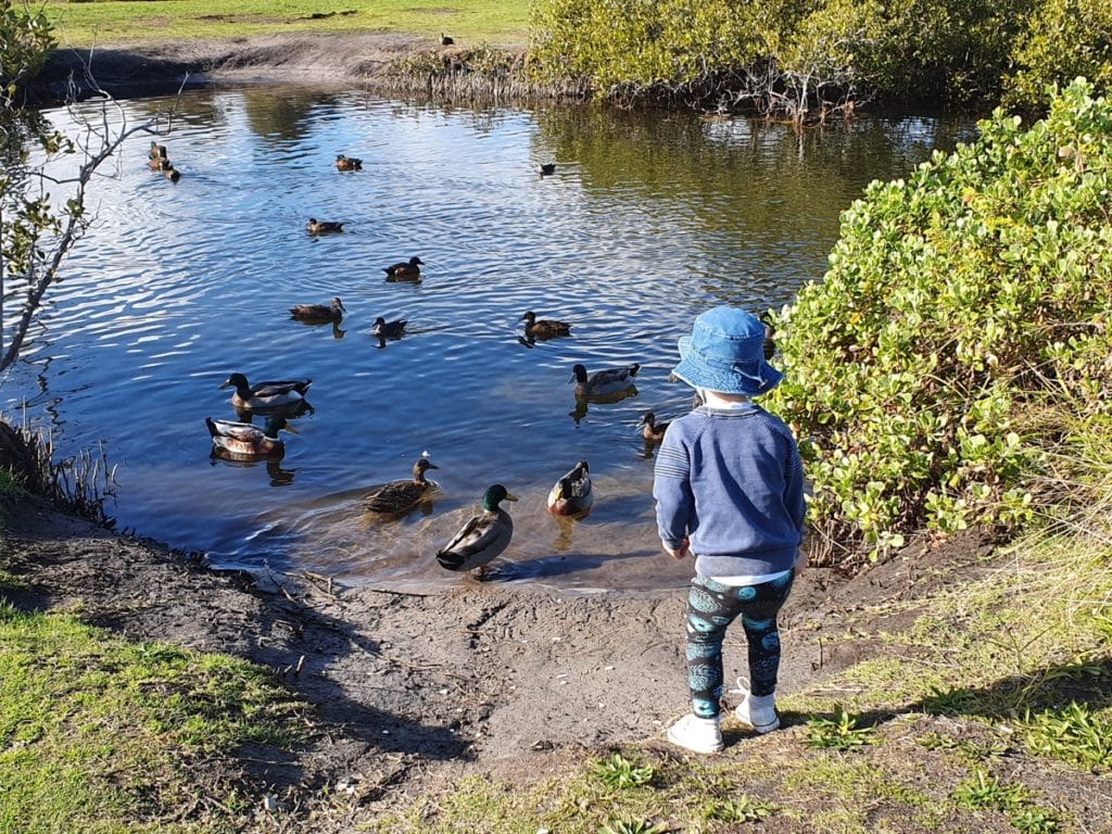 Belmont Lagoon Lake Macquarie