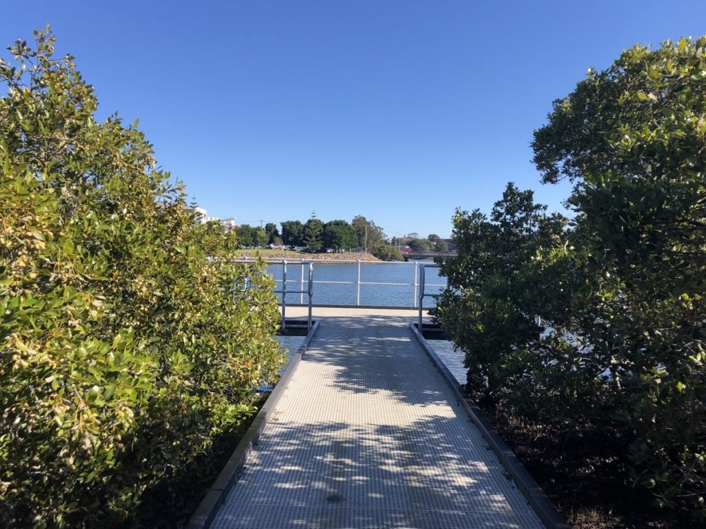Carrington Mangrove Boardwalk