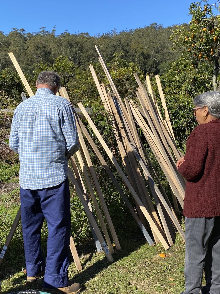 Pick Your Own Oranges on the Central Coast Newy with Kids