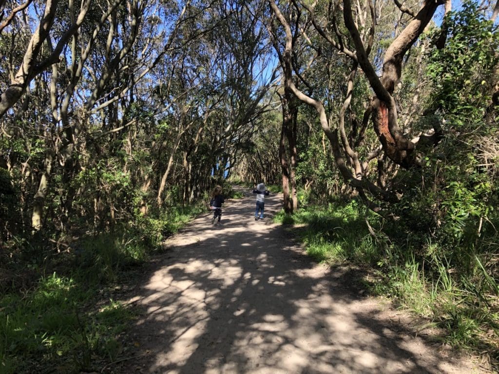 Hickson Street Walk Merewether