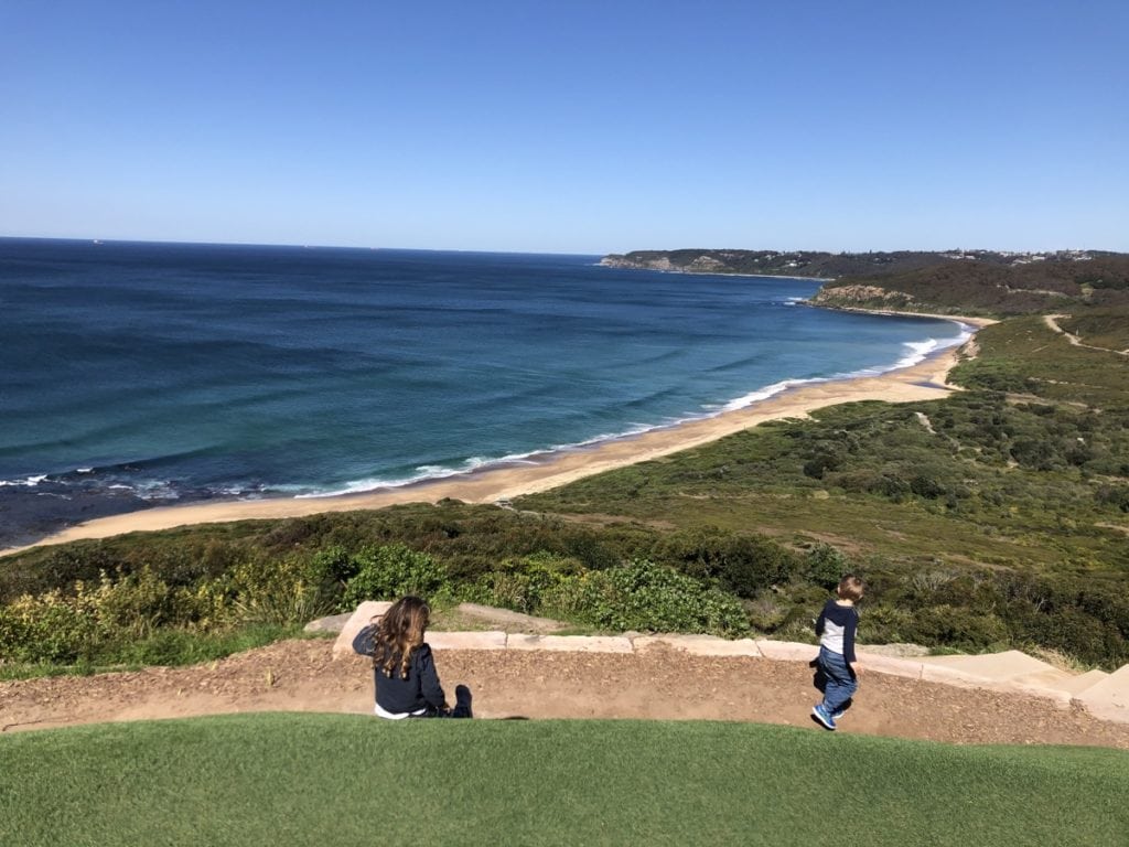 whale watching kids newcastle