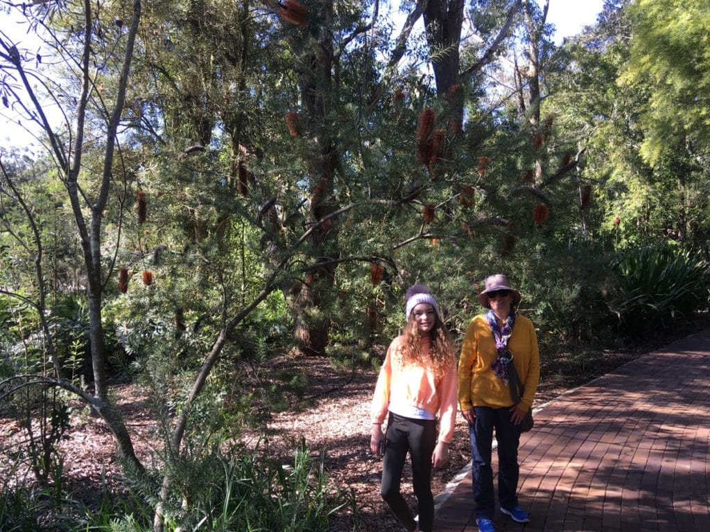 Hunter Botanic Gardens Kids