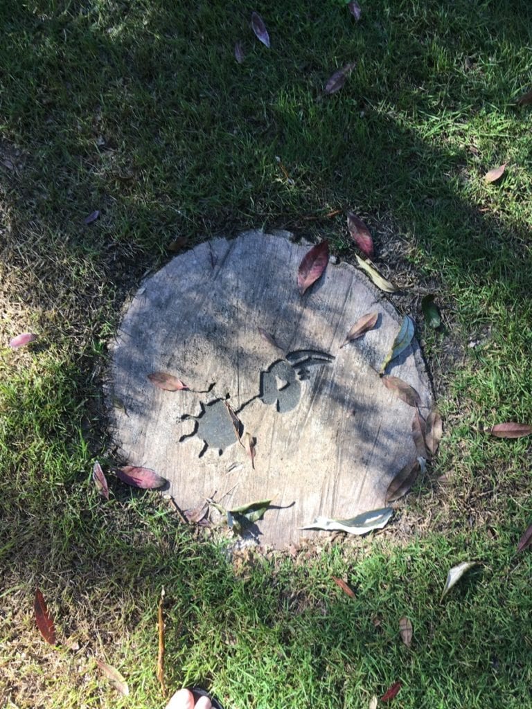 Hunter Botanic Gardens Newcastle