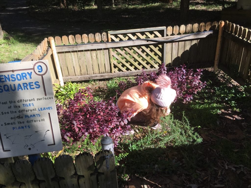 Hunter Botanic Gardens Kids