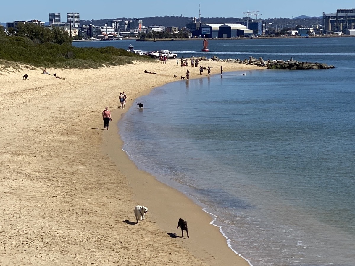 DogFriendly Beaches in Newcastle, Lake Macquarie & Port Stephens