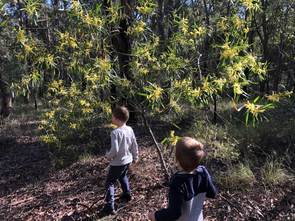Kilaben Bay Nature Walk