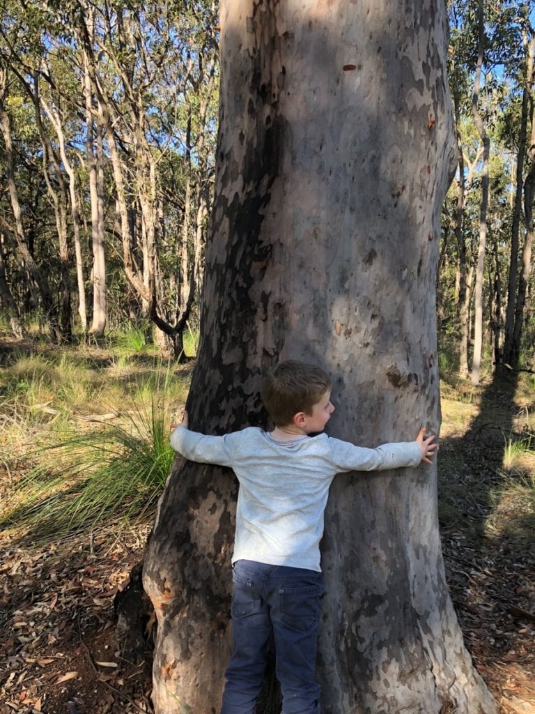 Kilaben Bay Walk Lake Macquarie