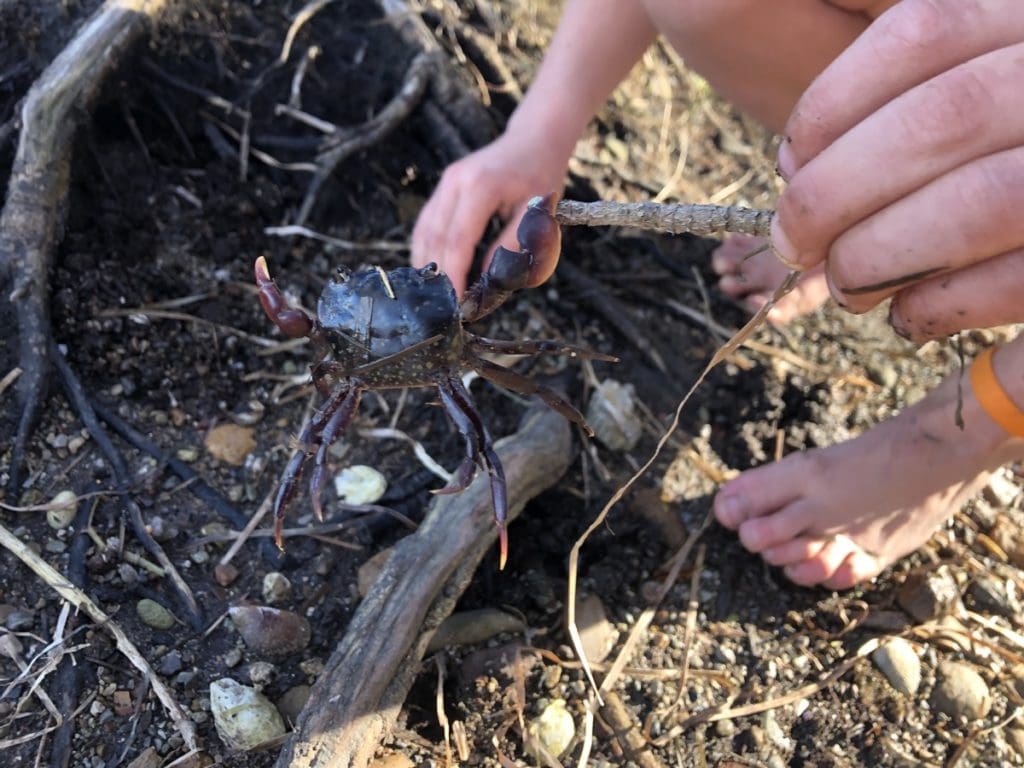 Kilaben Bay Nature Walk