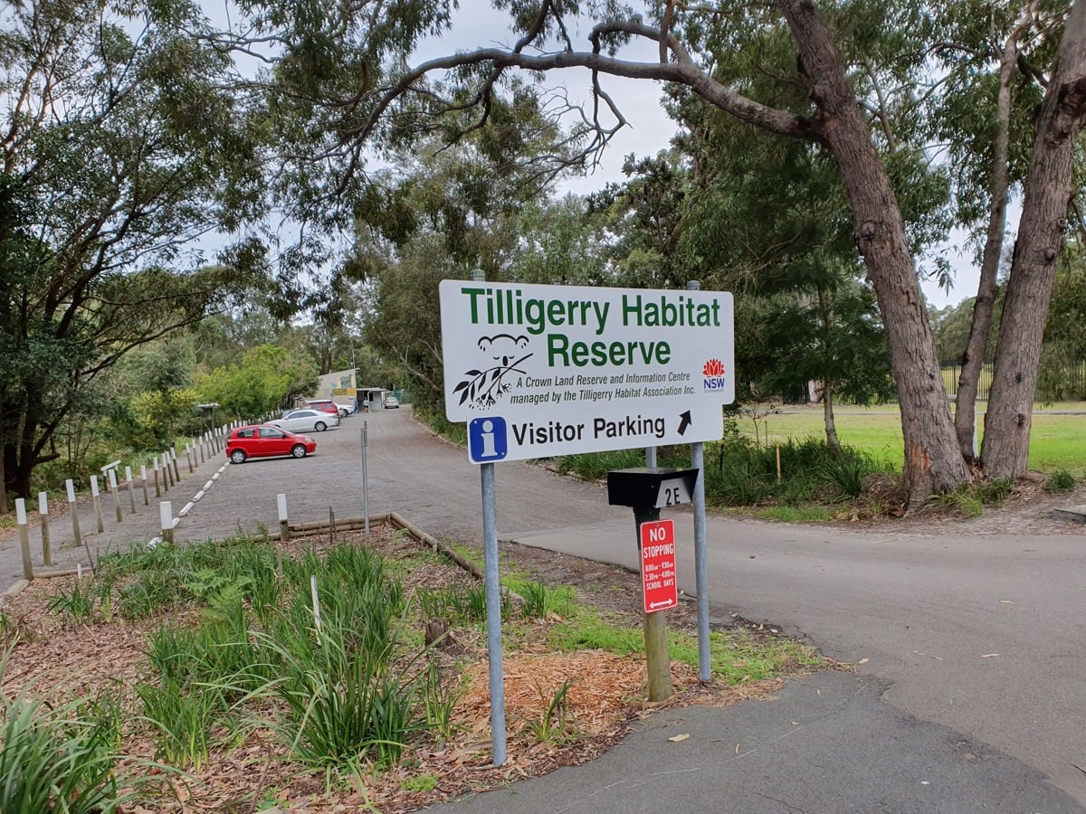 mother's day on a budget