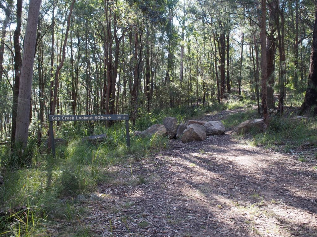 Gap Creek Lookout
