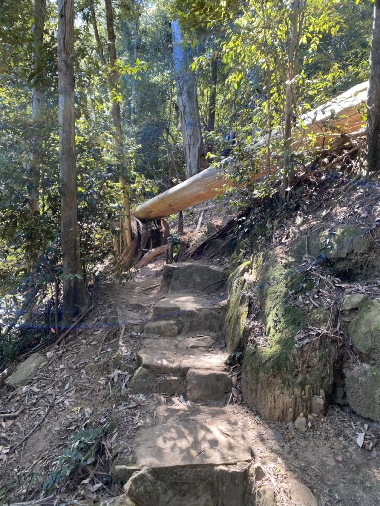Watagans Gap Creek Falls Walk