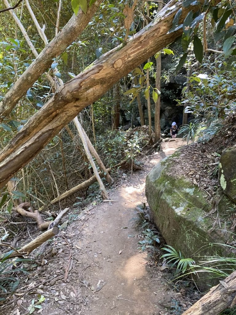 Watagans Gap Creek Falls Walk