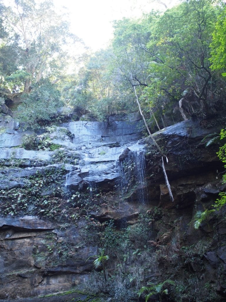Watagans Gap Creek Falls Walk