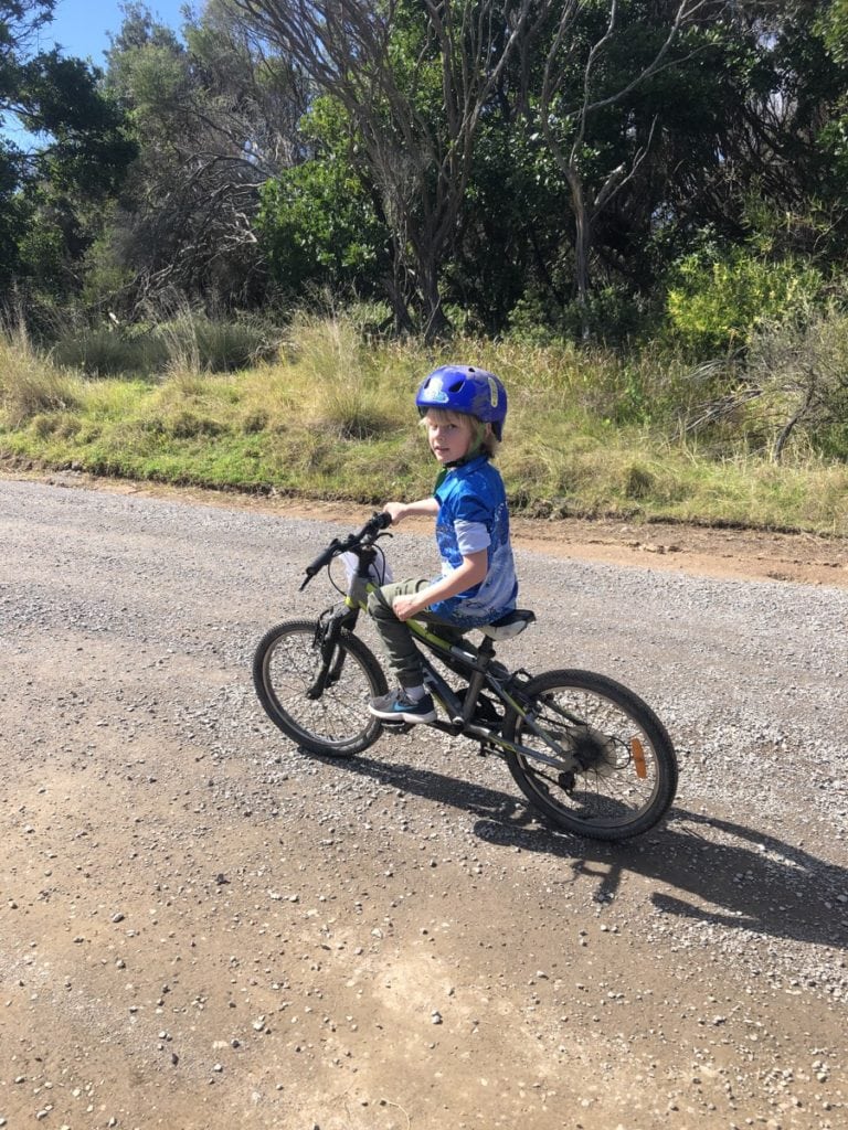 Explore Tea Gardens and Hawks Nest by Bike! Newy with Kids