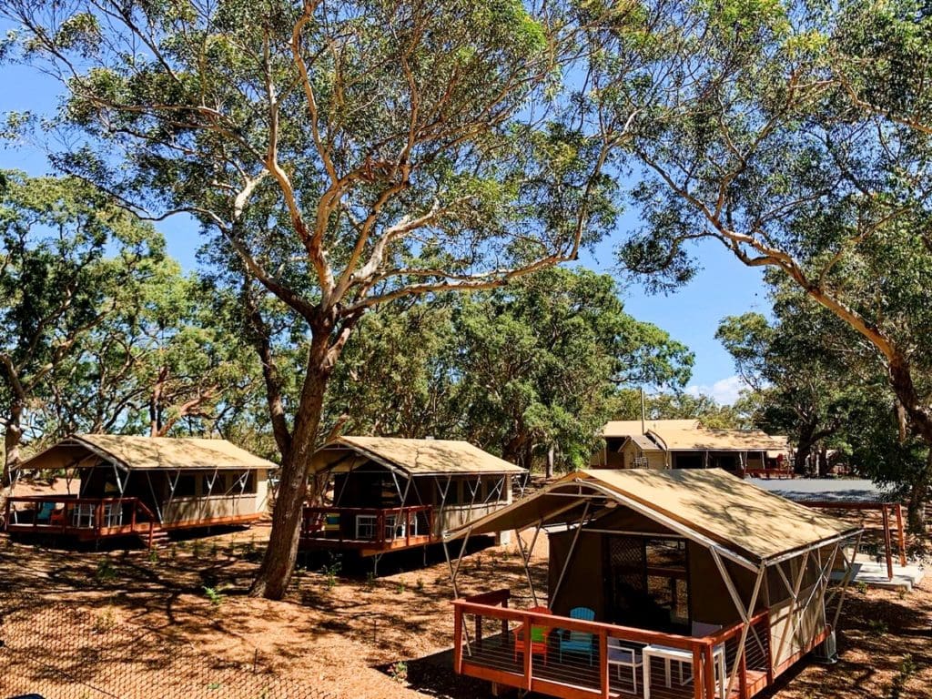 Port Stephens Koala Sanctuary NSW