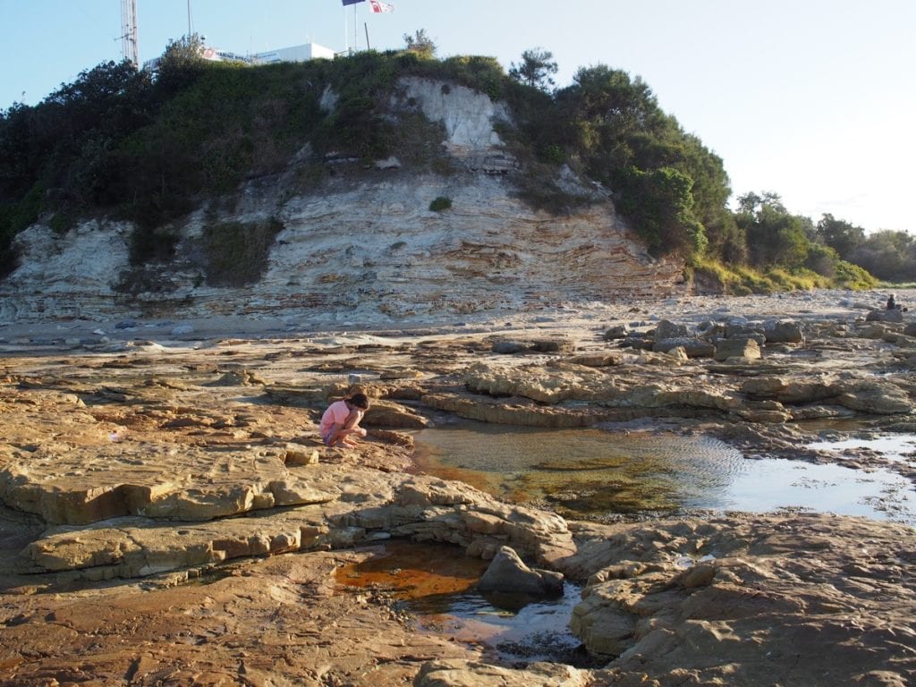 Swansea Headland Petrified Forest