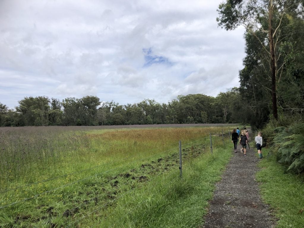 Sandy Creek Walk Cooranbong