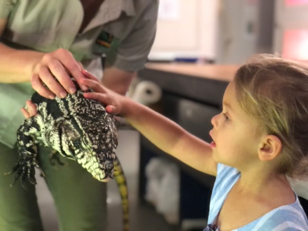 Australian Reptile Park