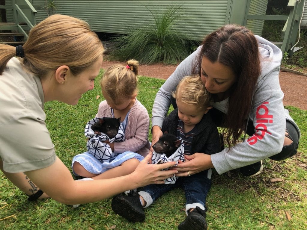 Australian Reptile Park