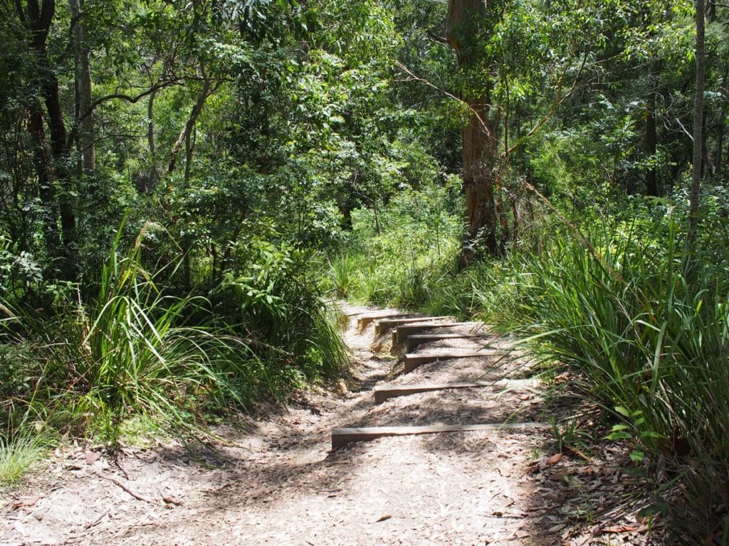 Green Point Walk